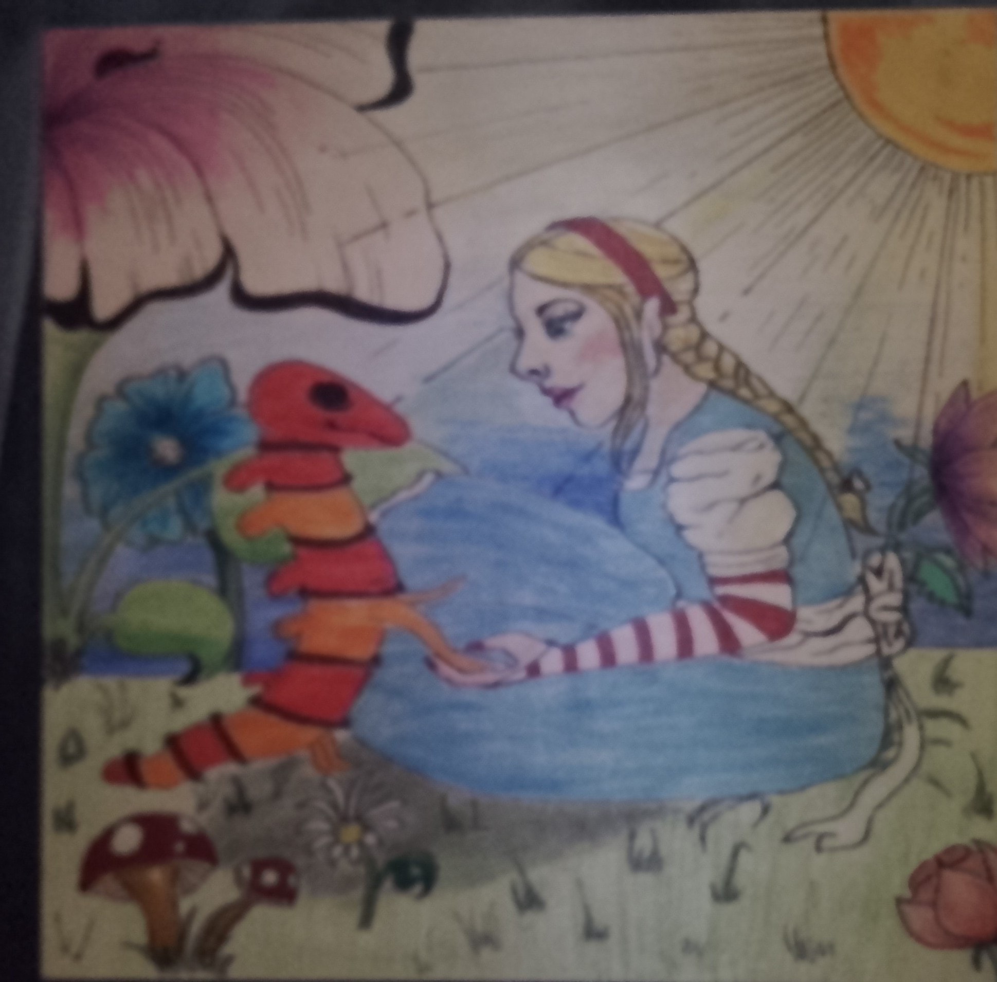 Gallery image 12